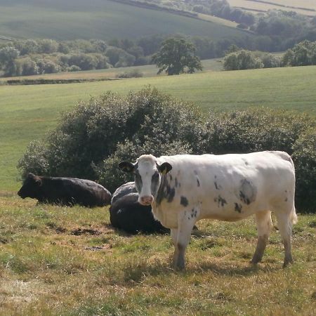 Harepath Farm Cottages 1 Έξετερ Εξωτερικό φωτογραφία
