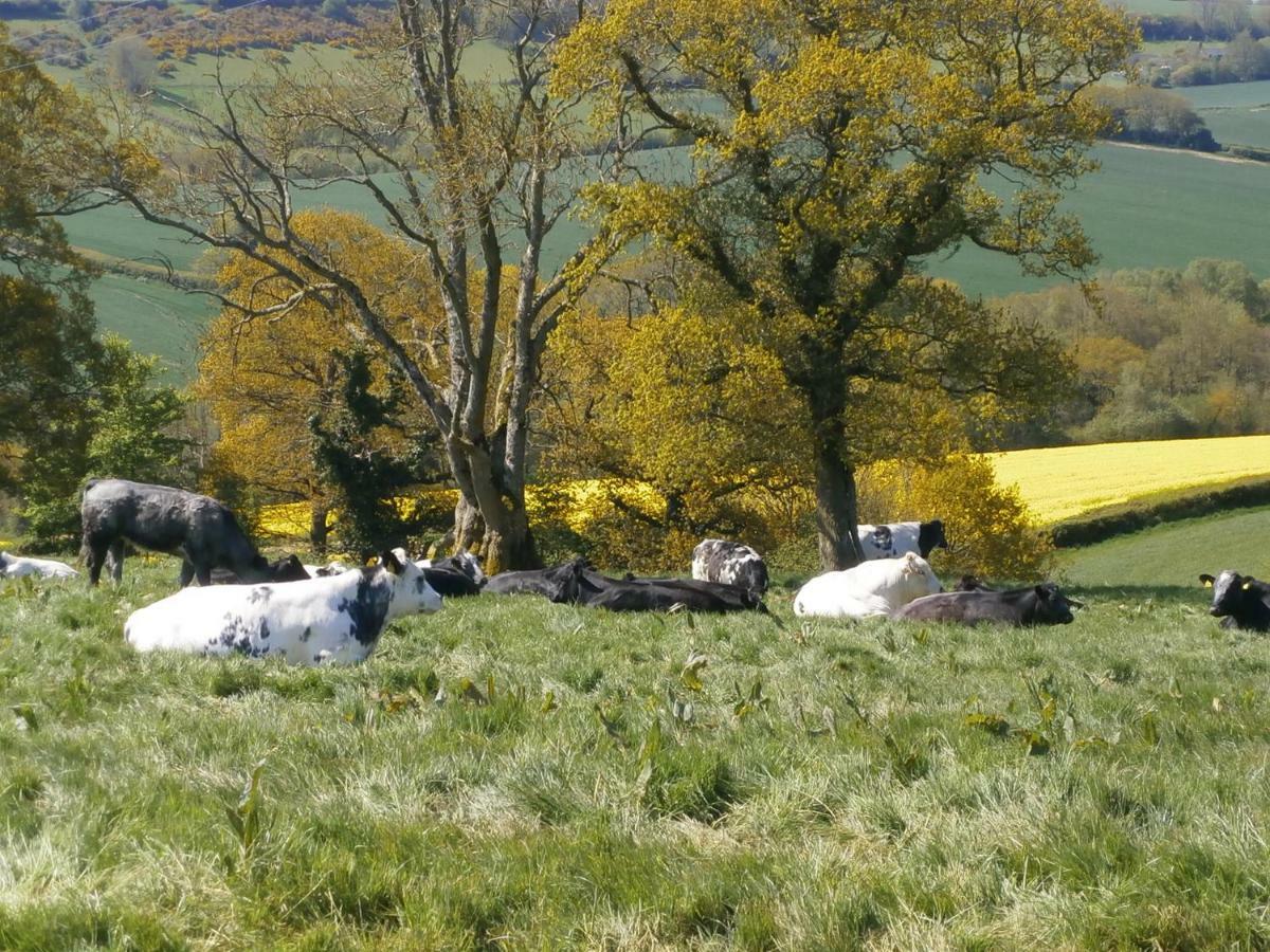 Harepath Farm Cottages 1 Έξετερ Εξωτερικό φωτογραφία