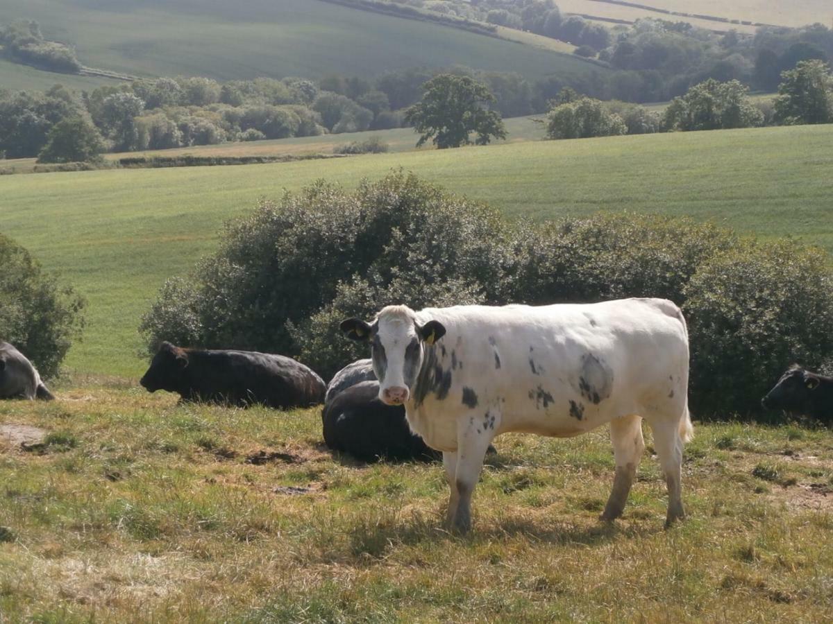 Harepath Farm Cottages 1 Έξετερ Εξωτερικό φωτογραφία